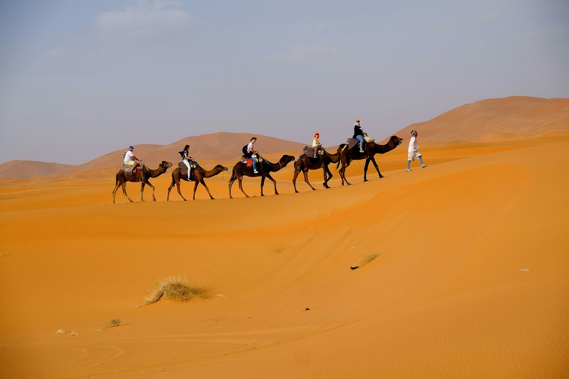 Dakhla: Morocco’s Hidden Desert Lagoon & Offbeat Paradise How to Get to the Sahara Desert