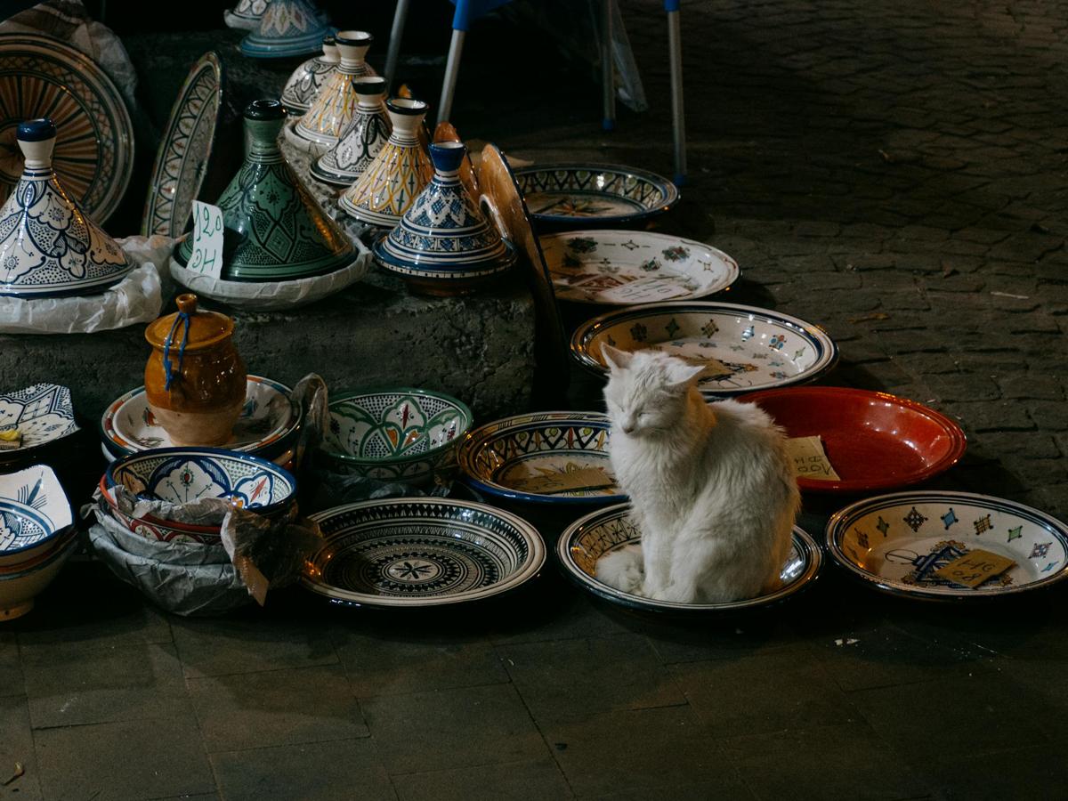 Dakhla: Morocco’s Hidden Desert Lagoon & Offbeat Paradise Safi : Morocco’s Ceramics Capital