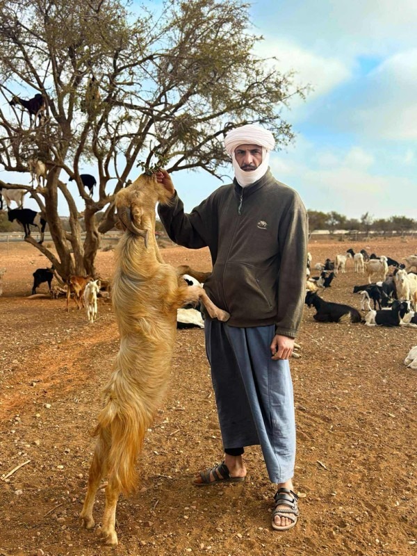 Agadir First-Time Visitors: Your Ultimate Travel Guide, Morocco