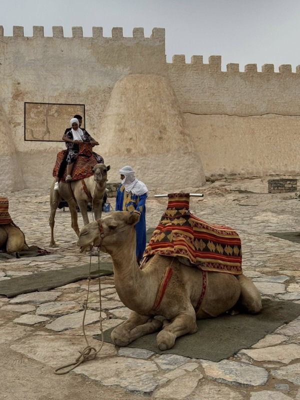 Agadir First-Time Visitors: Your Ultimate Travel Guide, Morocco