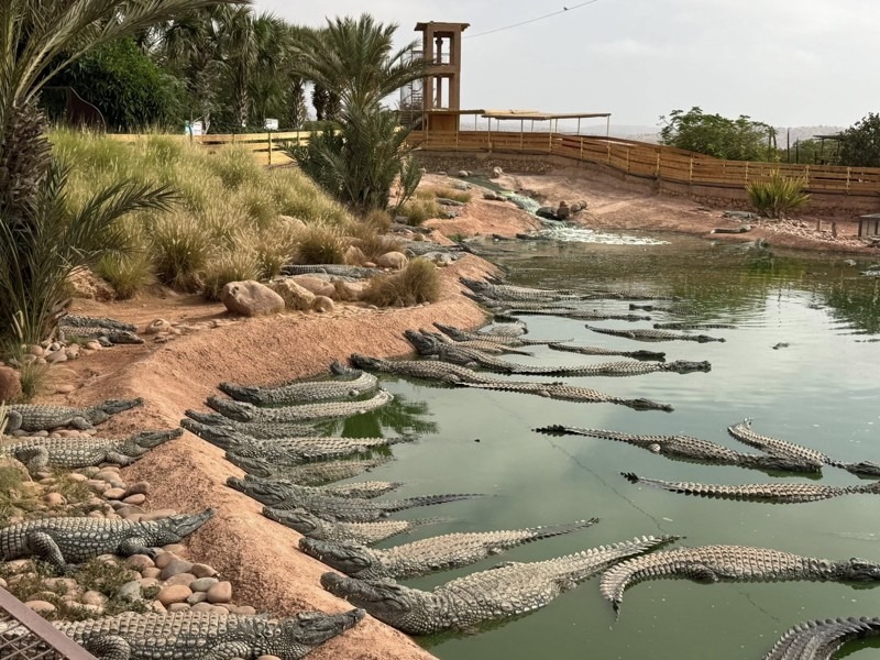 Agadir First-Time Visitors: Your Ultimate Travel Guide, Morocco
