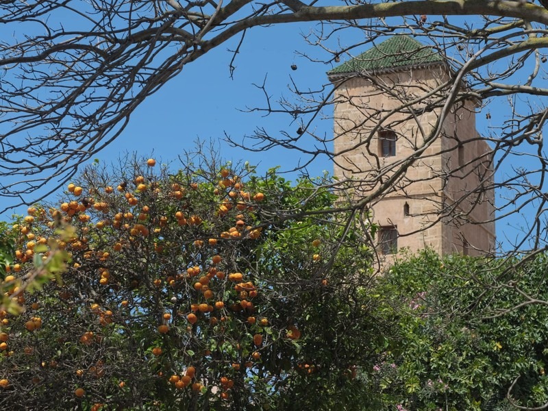 Andalusian GardensAndalusian Gardens, Rabat, Morocco