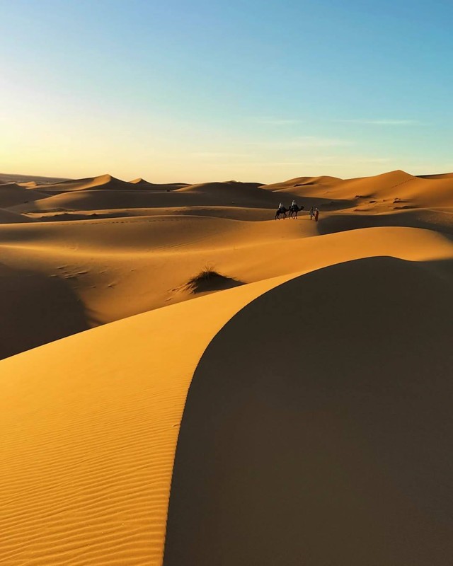 Camel Trekking in Merzouga Morocco: Complete Desert Guide