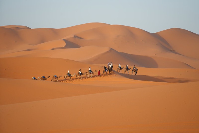 Camel Trekking in Merzouga Morocco: Complete Desert Guide