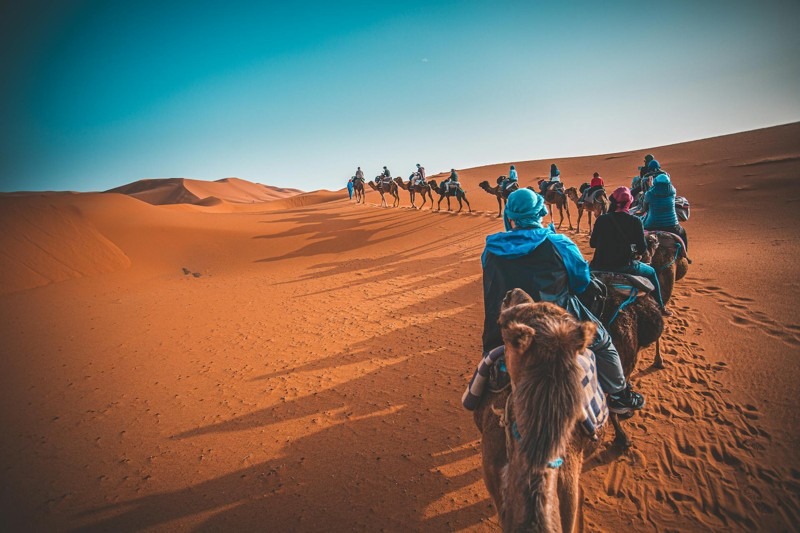 Camel Trekking in Merzouga Morocco: Complete Desert Guide