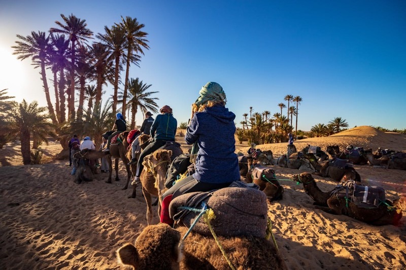 Camel Trekking in Merzouga Morocco: Complete Desert Guide