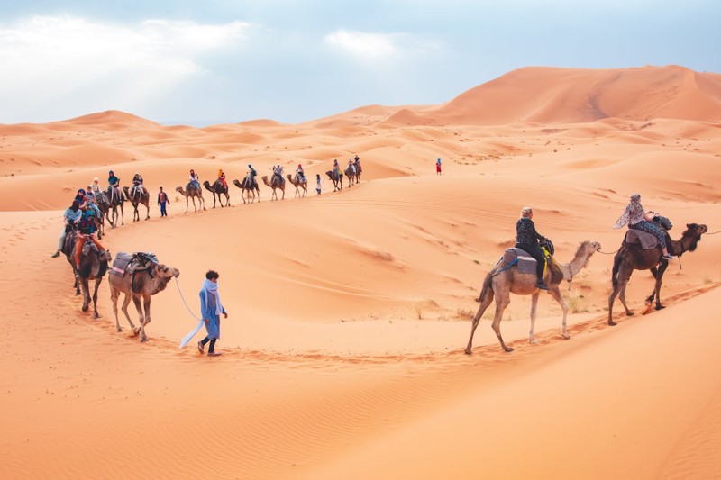 Camel Trekking in Merzouga Morocco: Complete Desert Guide
