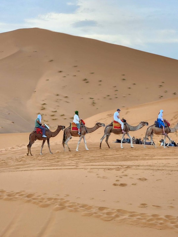 Camel Trekking in Merzouga Morocco: Complete Desert Guide