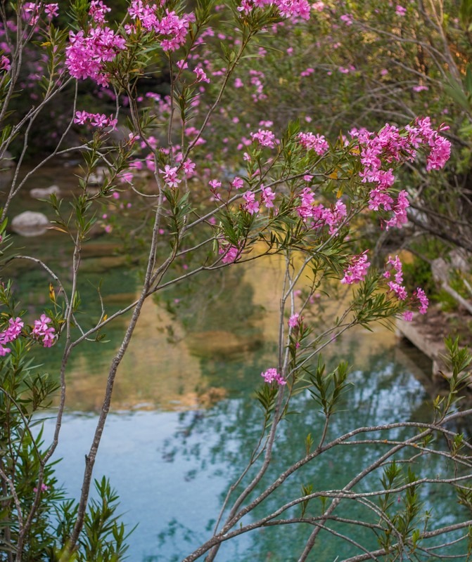 Chefchaouen - Morocco’s Blue Pearl and Its Photogenic Alleys - Akchour Waterfal