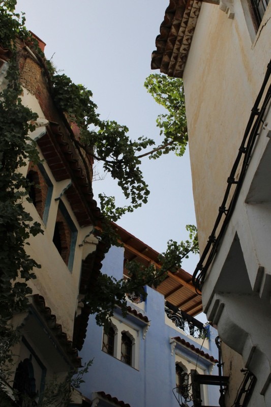 Chefchaouen - Morocco’s Blue Pearl and Its Photogenic Alleys - Architecture