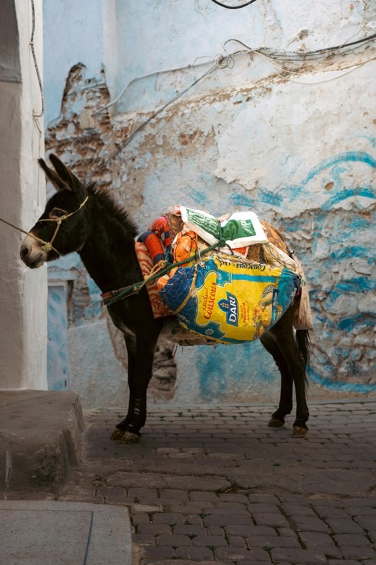Chefchaouen - Morocco’s Blue Pearl and Its Photogenic Alleys - Art