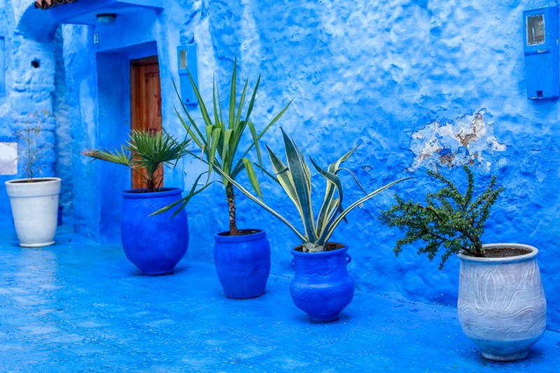 Chefchaouen - Morocco’s Blue Pearl and Its Photogenic Alleys - Art