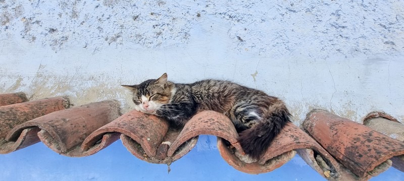 Chefchaouen - Morocco’s Blue Pearl and Its Photogenic Alleys - Art