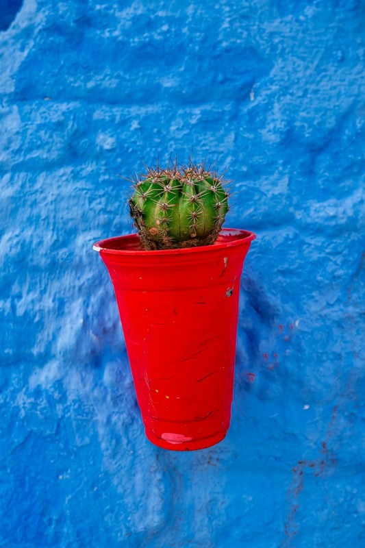 Chefchaouen - Morocco’s Blue Pearl and Its Photogenic Alleys - Art