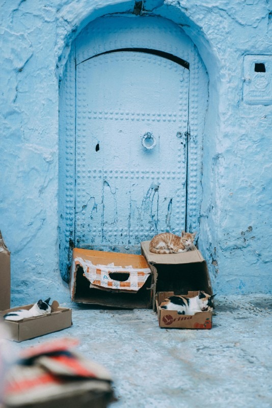 Chefchaouen - Morocco’s Blue Pearl and Its Photogenic Alleys - Dors