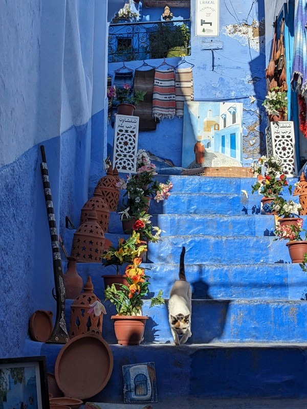 Chefchaouen: Morocco’s Blue Pearl and Its Photogenic Alleys