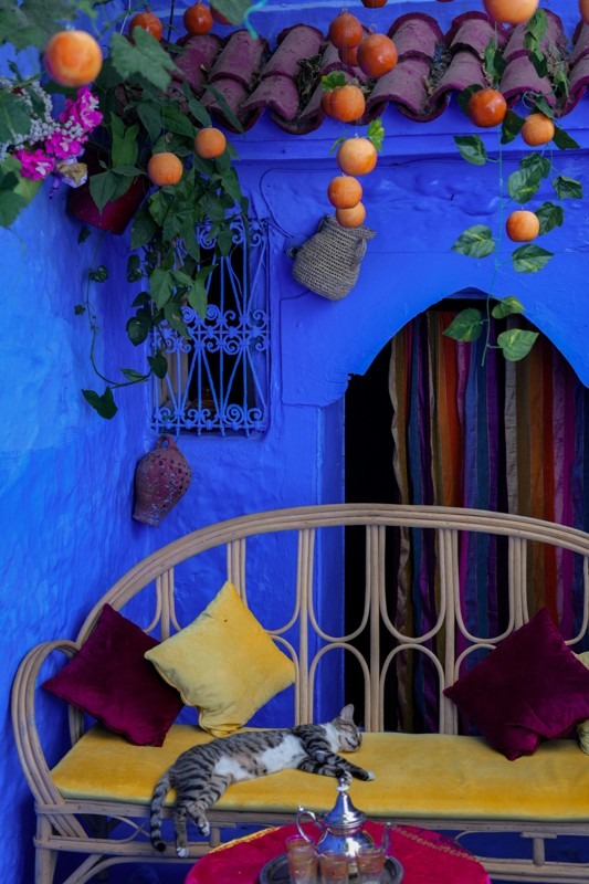 Chefchaouen: Morocco’s Blue Pearl and Its Photogenic Alleys