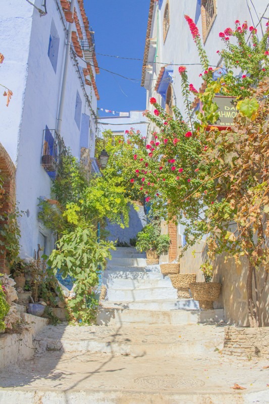 Chefchaouen - Morocco’s Blue Pearl and Its Photogenic Alleys - Stairs