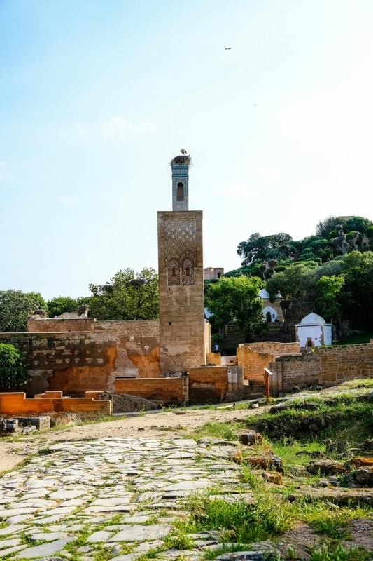 Chellah Necropolis, Rabat, Morocco
