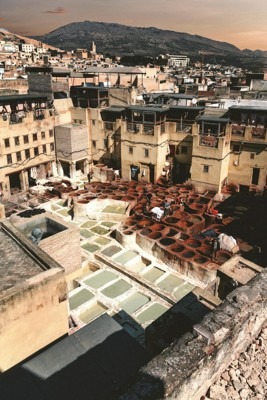 Chouara Tanneries, Fes, Morocco