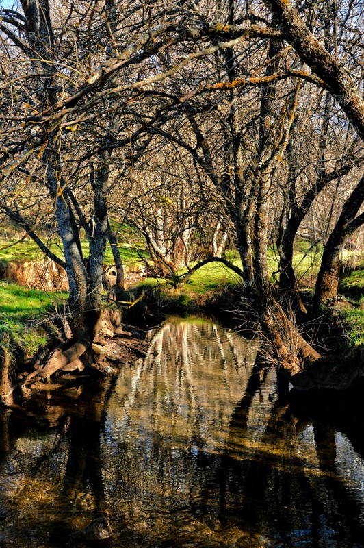 From Azrou to Ifrane - Morocco