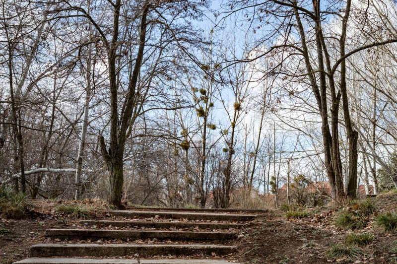 From Azrou to Ifrane - Morocco