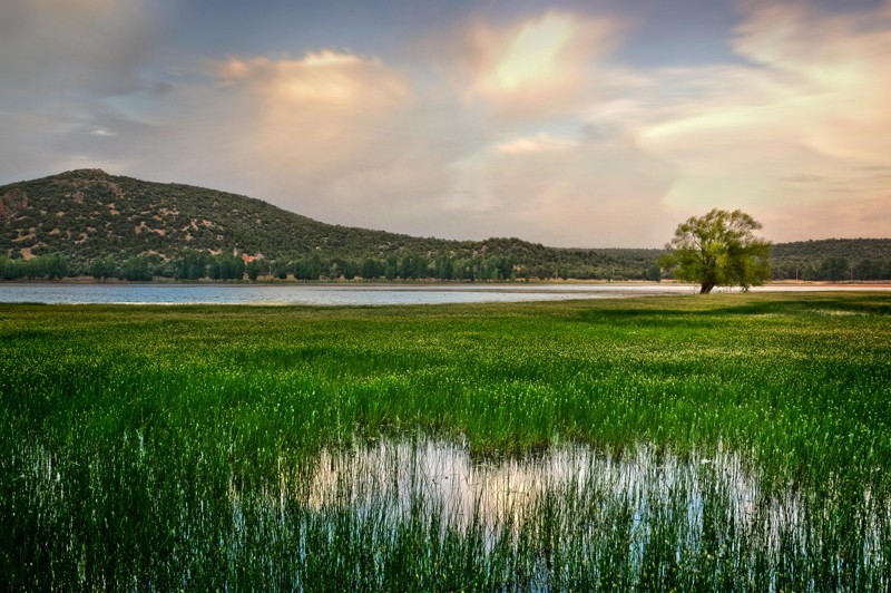 From Azrou to Ifrane - Morocco