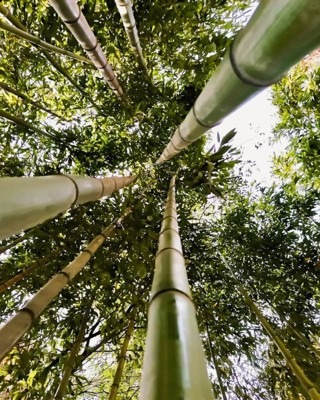 Jnan Sbil Garden, Fes, Morocco