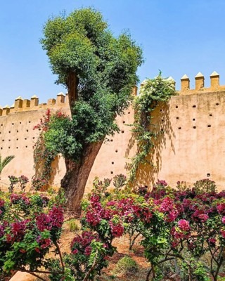 Jnan Sbil Garden, Fes, Morocco