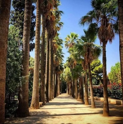 Jnan Sbil Garden, Fes, Morocco
