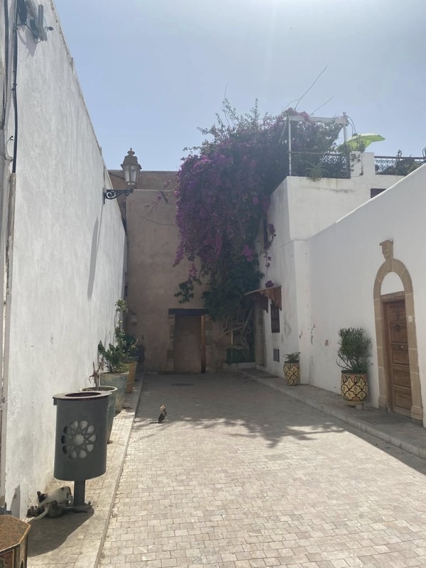 Kasbah of the Oudayas, Rabat, Morocco