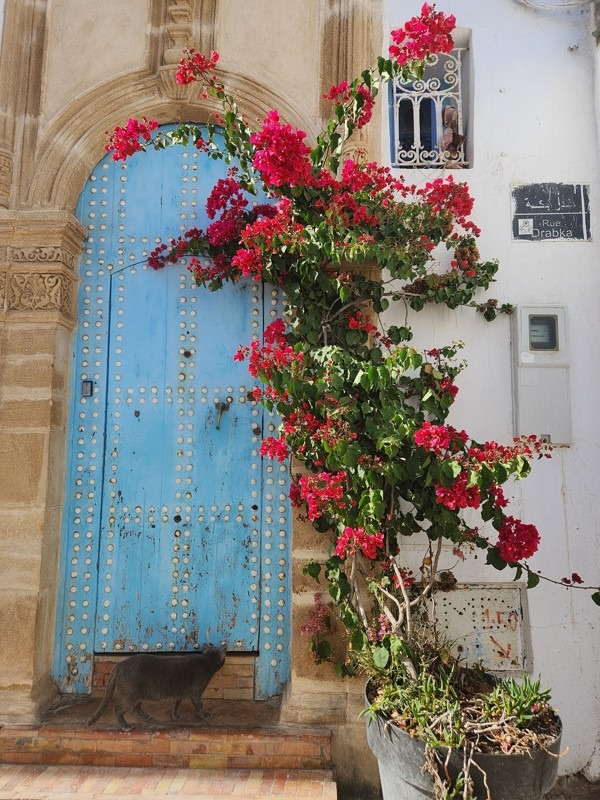 Kasbah of the Oudayas, Rabat, Morocco