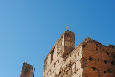 Must see in Marrakech, Morocco - Discover El Badi Palace