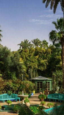 Must see in Marrakech, Morocco - Relax in Majorelle Garden