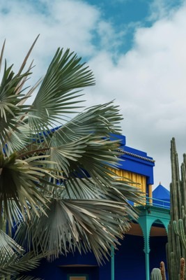 Must see in Marrakech, Morocco - Relax in Majorelle Garden