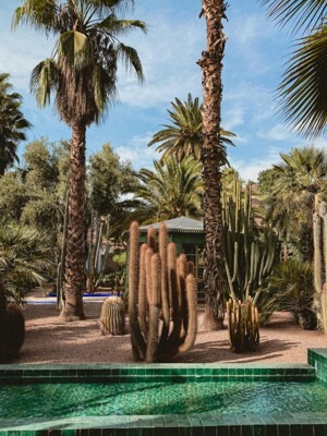 Must see in Marrakech, Morocco - Relax in Majorelle Garden