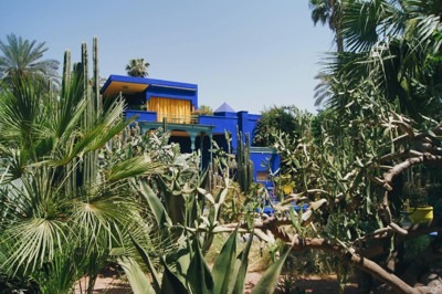 Must see in Marrakech, Morocco - Relax in Majorelle Garden