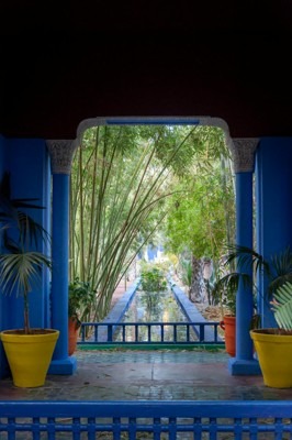 Must see in Marrakech, Morocco - Relax in Majorelle Garden