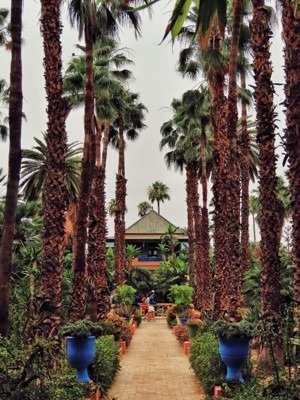 Must see in Marrakech, Morocco - Relax in Majorelle Garden