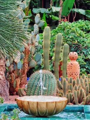 Must see in Marrakech, Morocco - Relax in Majorelle Garden