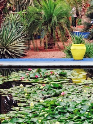 Must see in Marrakech, Morocco - Relax in Majorelle Garden