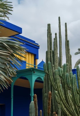 Must see in Marrakech, Morocco - Relax in Majorelle Garden