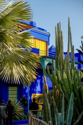 Must see in Marrakech, Morocco - Relax in Majorelle Garden