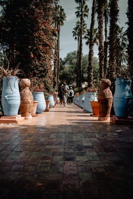 Must see in Marrakech, Morocco - Relax in Majorelle Garden