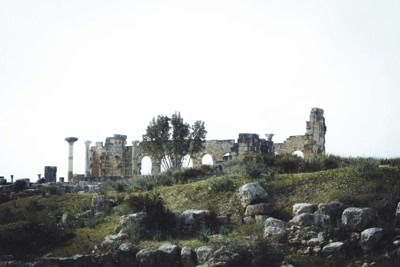 Oualili, Volubilis, Roman ruin, Fes, Morocco