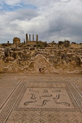 Oualili, Volubilis, Roman ruin, Fes, Morocco