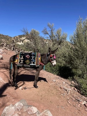 Paradise Valley, Agadir, Morocco