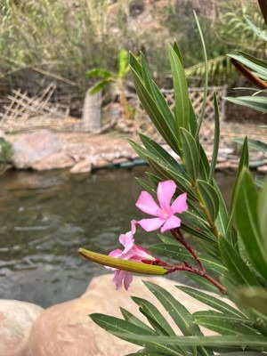 Paradise Valley, Agadir, Morocco