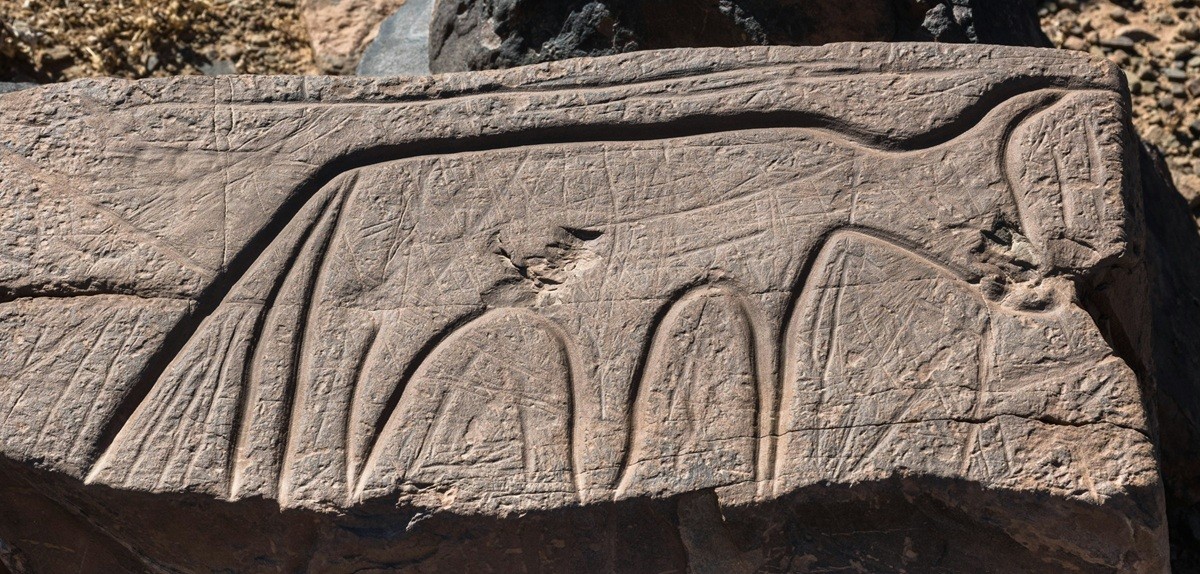 The Enigmatic Rock Art of the Sahara