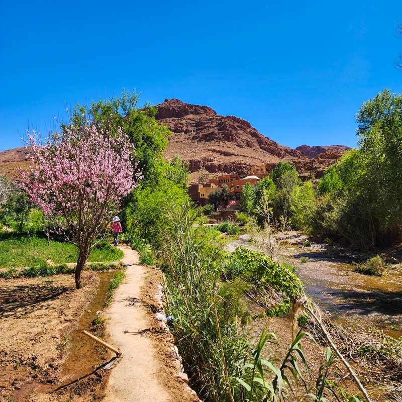 Todra Gorges, Morocco